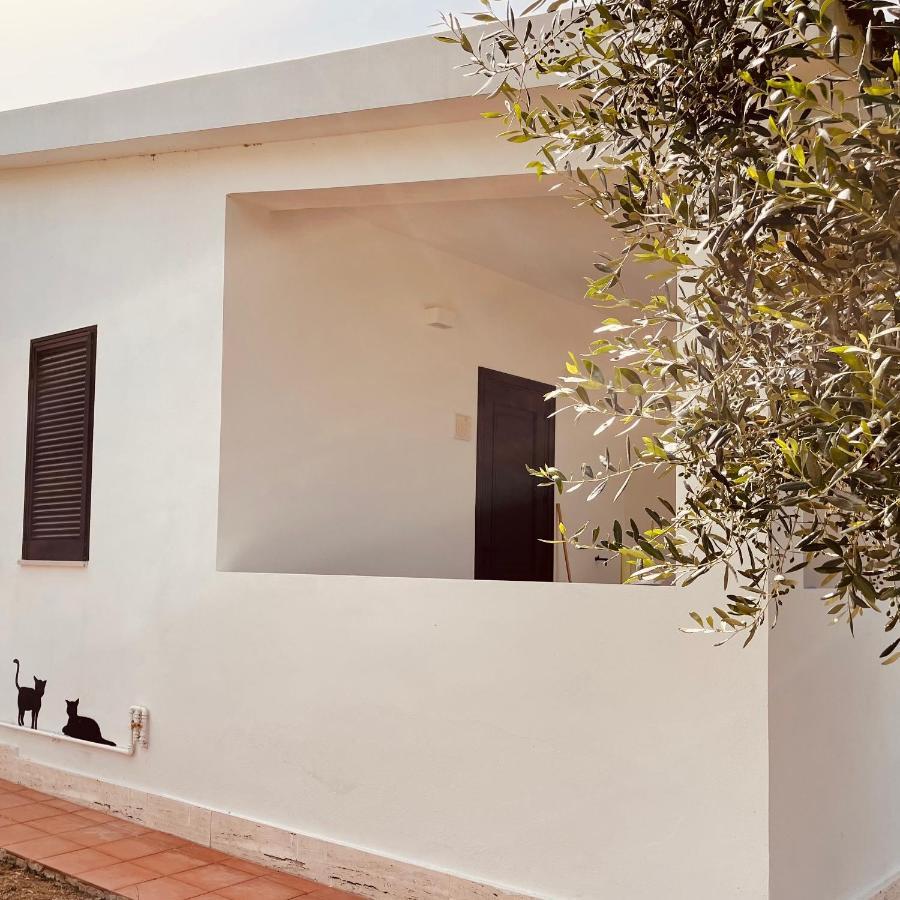 Villaggio Eco-Sostenibile Cala Molinella Vieste Kültér fotó